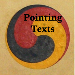 Pointing Texts